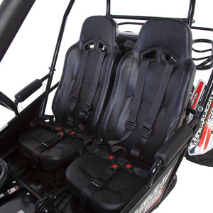gt 150 buggy drivers view