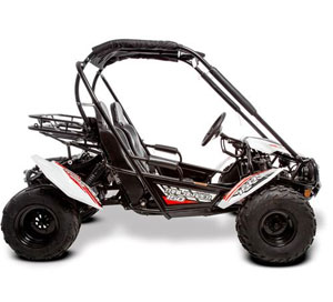 gt buggy side view